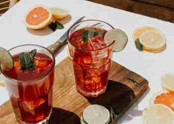 ¡Coctelería vegana sin límites!