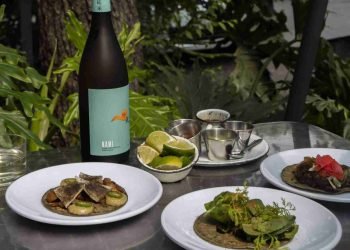 Festival de tacos y sake