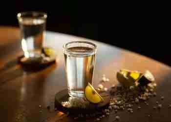 Día Internacional del Tequila 1