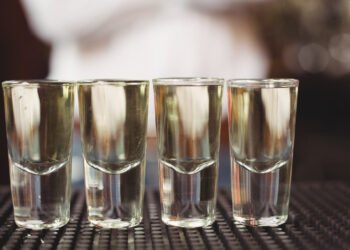 Medio siglo de tequila: celebrando la denominación de origen
