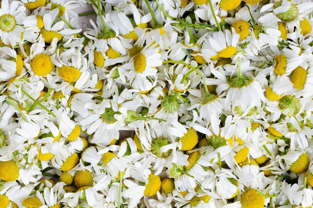 flores