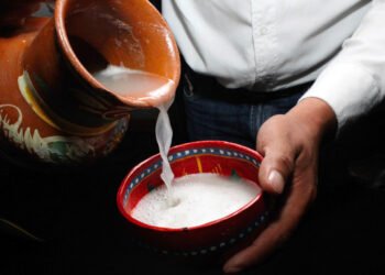 ¿Qué es el pulque?