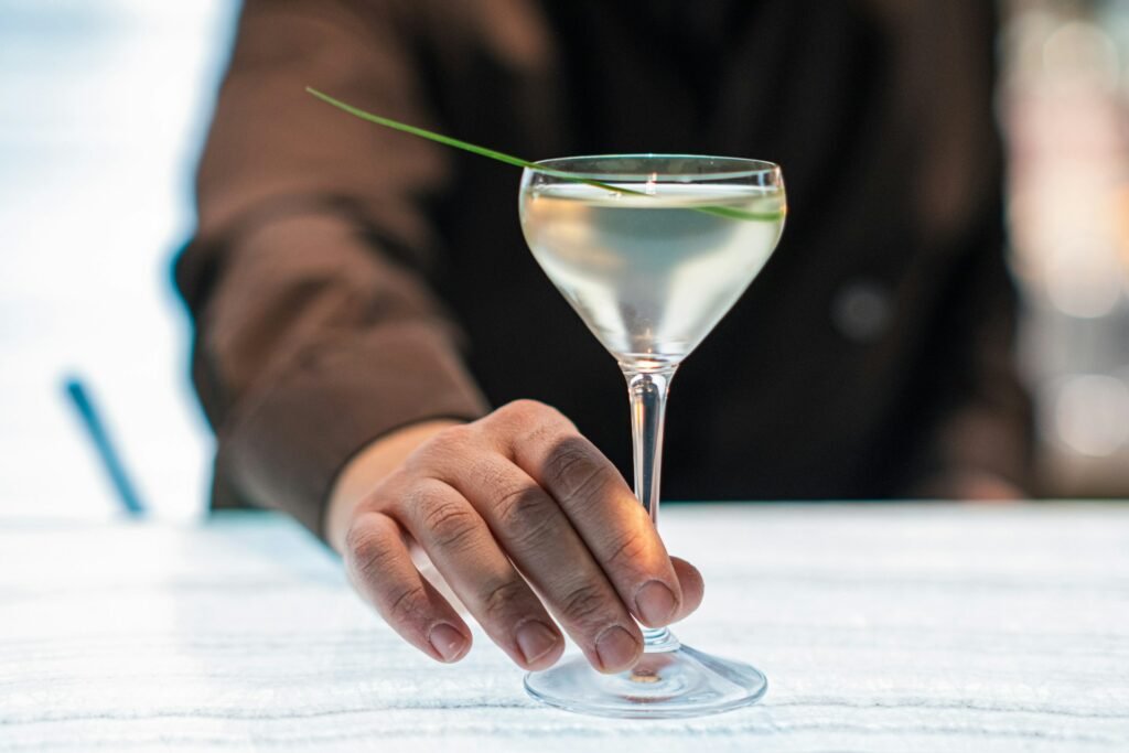 Gibson coctel