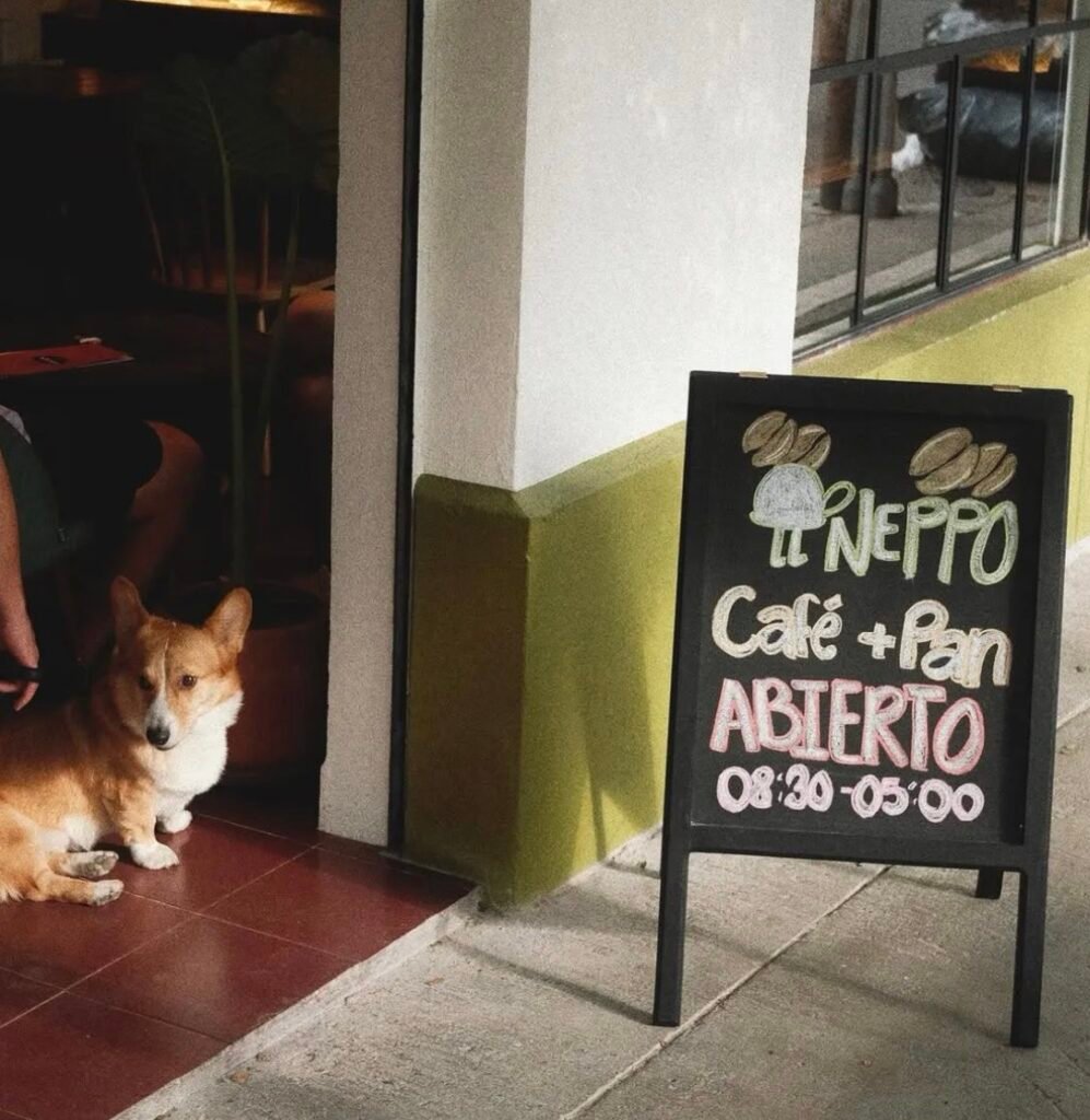Neppo Café. Día del Perro