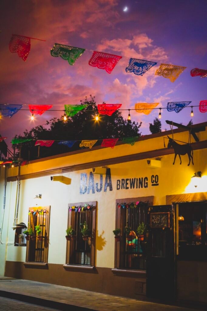 Día de la cerveza Baja 

