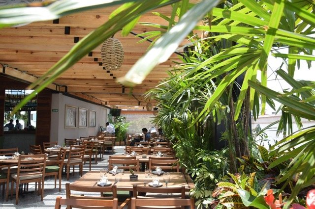 Palmares Rooftop