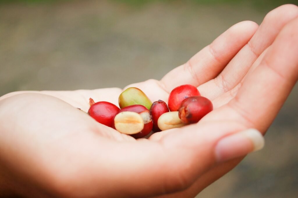 Día Mundial del Café