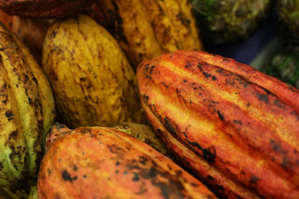 cacao
